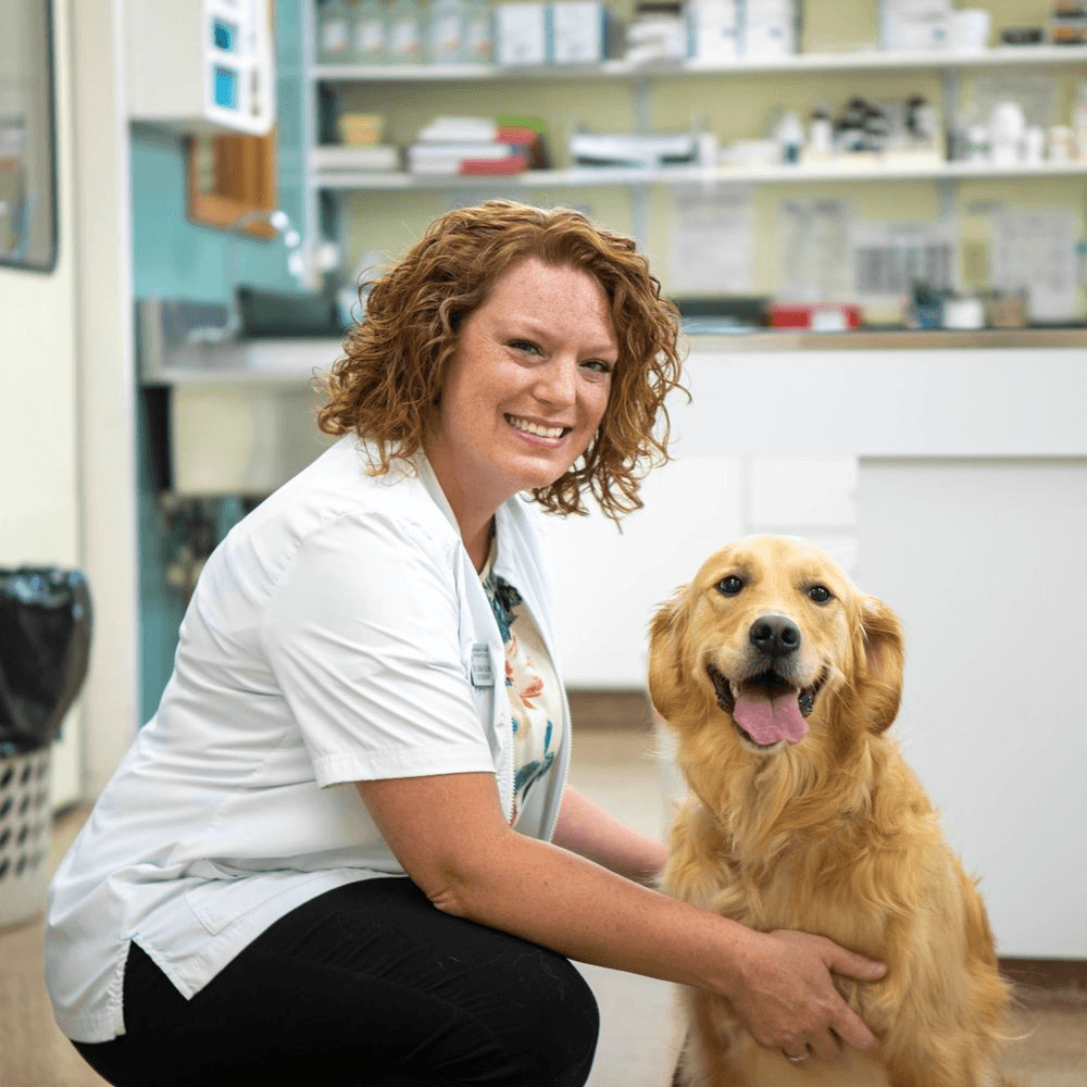Dogs dressed as veterinarians with medical hats